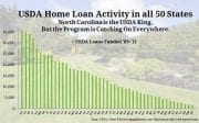Why are USDA loans becoming more popular?