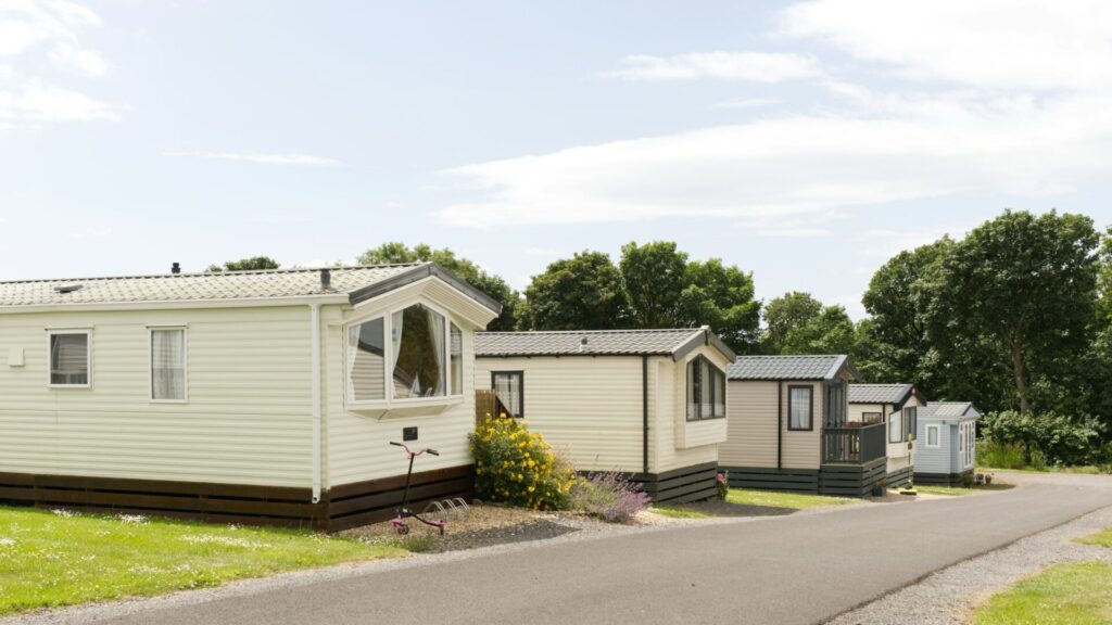Row of cream manufactured homes along a quiet paved lane with flowering shrubs